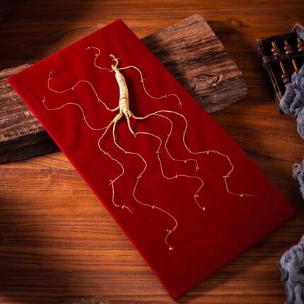 長白山林下參禮盒裝 幹人參 野山參 泡酒滋補品送禮移山參 品質保證8年以上